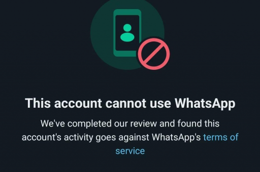 WhatsApp在线状态不可见的原因与解决方法