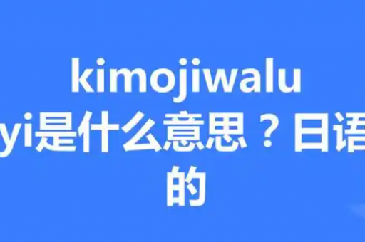 WhatsApp与WhatsApp Business，核心区别解析