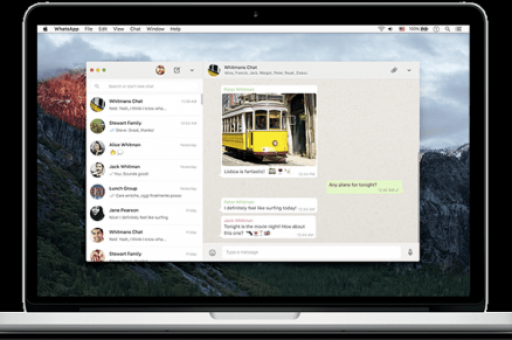轻松告别，WhatsApp网页版登出全攻略